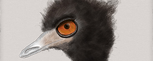 Make Don't Break Challenge