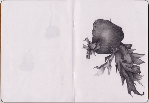 Life Underground sketchbook page